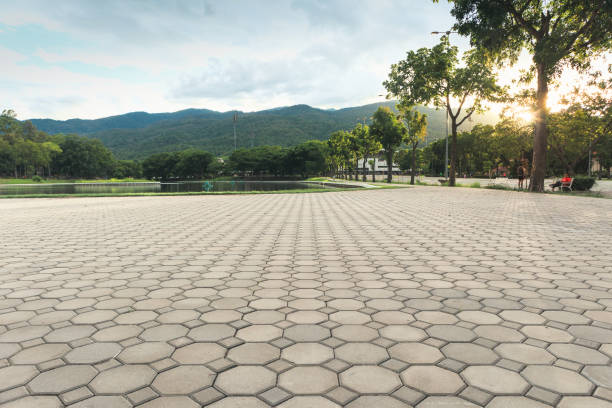 Best Luxury Driveway Paving Solutions in Eunice, NM